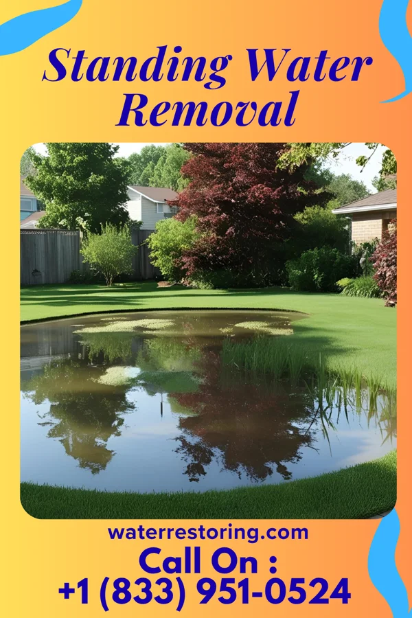 Standing Water Removal in Beaverdale, IA